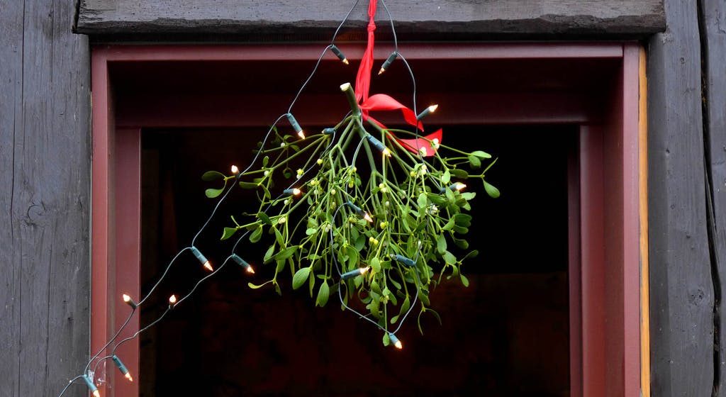 Mistletoe in a doorway