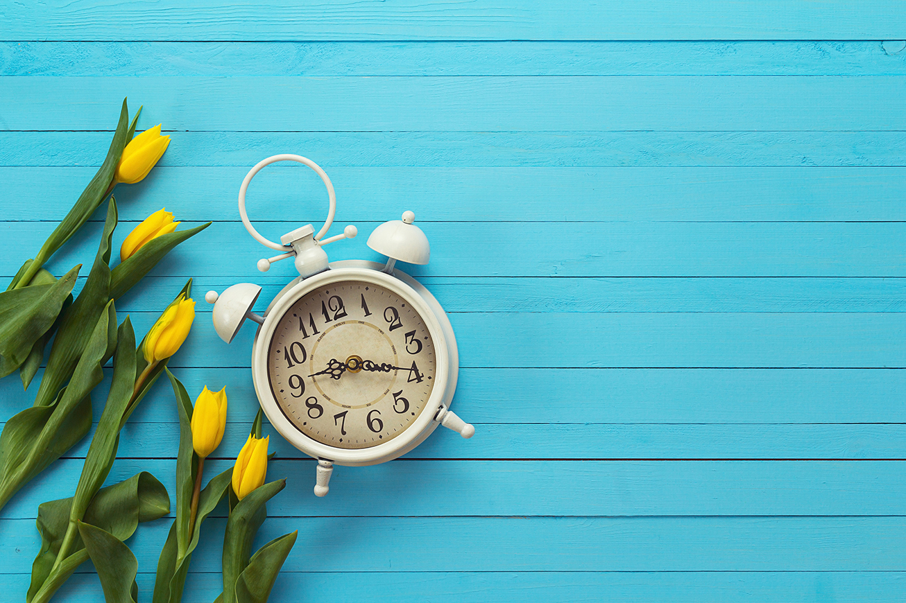 Background with white alarm clock and yellow tulips on blue painted wooden planks. Place for text. Top view with copy space