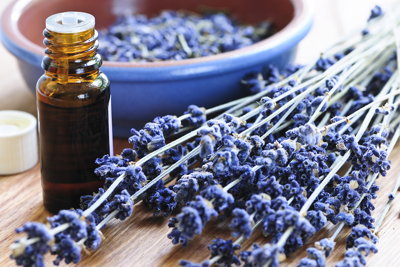 Dried lavender herb and essential aromatherapy oil