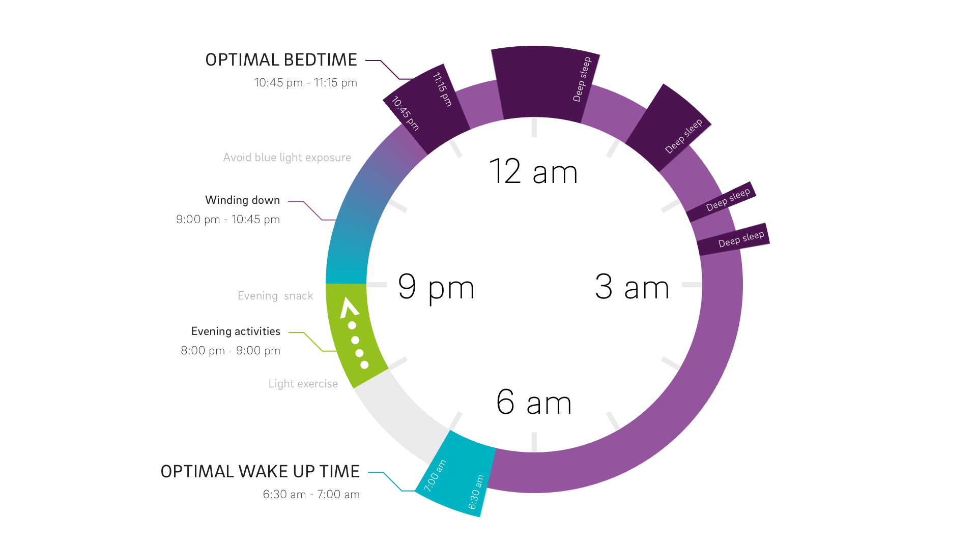 Circadian Rhythm clock